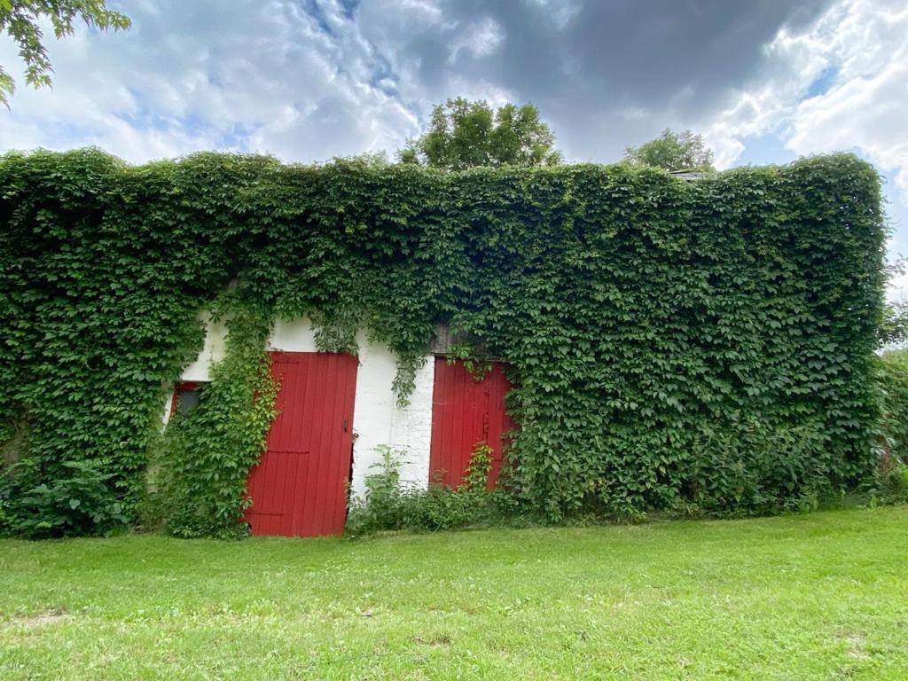 Vakantiehuis Sohrmuehle